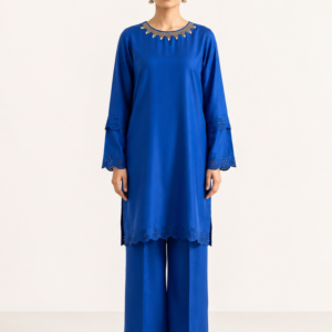embroidered grip georgette co ord set